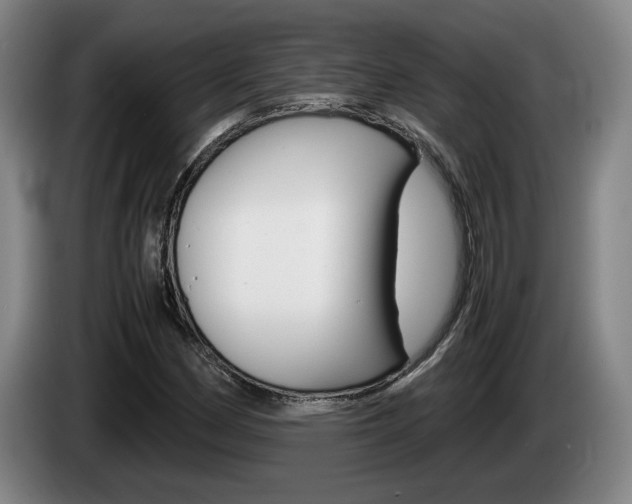 X0000085311162200703091048
