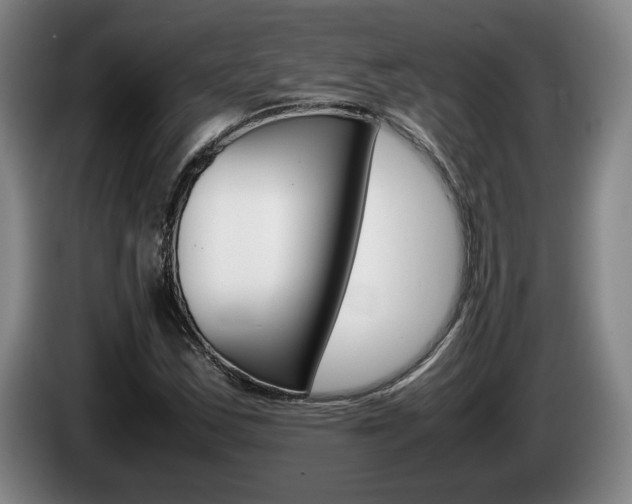 X0000085311163200703091048