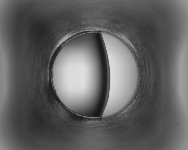 X0000085311173200703091048