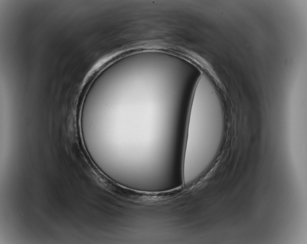 X0000085311176200703091048