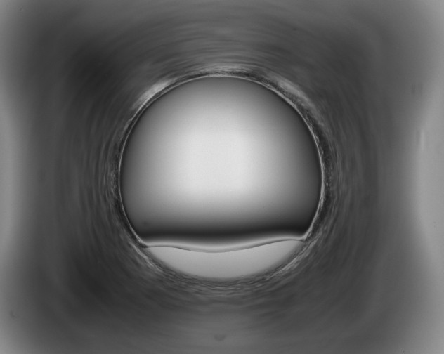 X0000085311177200703091048