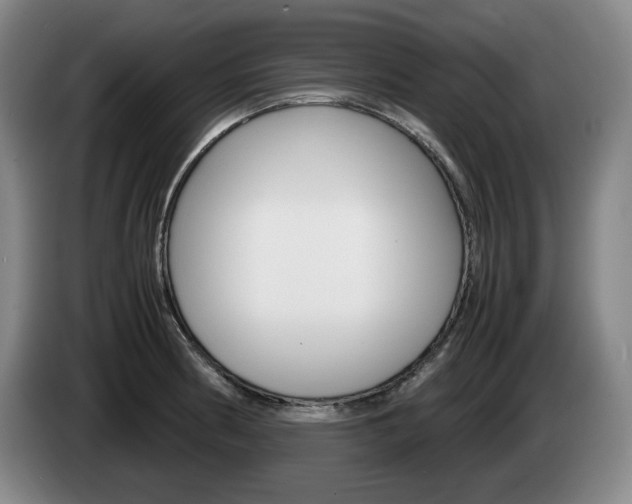 X0000085311186200703091047