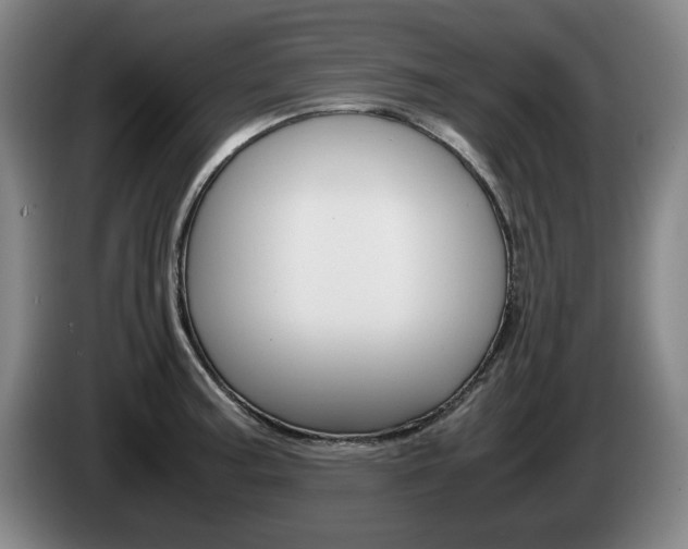 X0000085311187200703091047