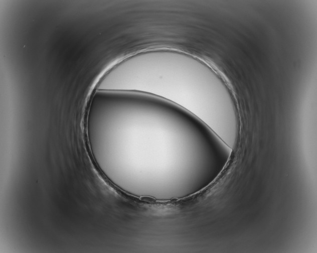 X0000085311189200703091047