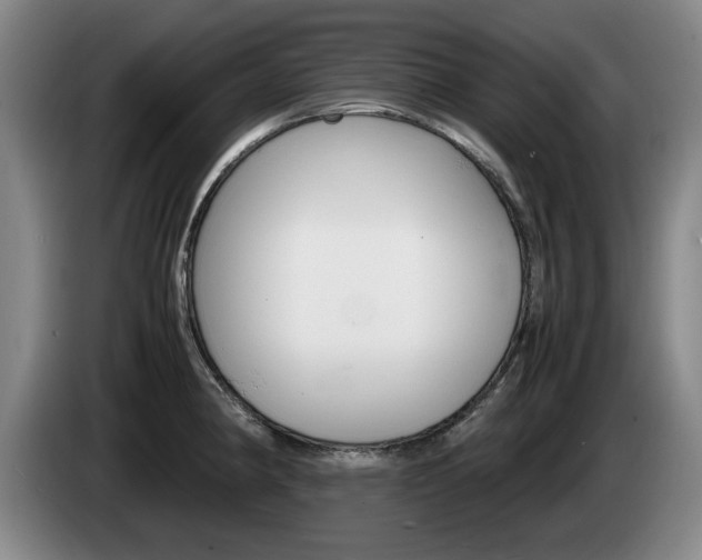 X0000085311190200703091047