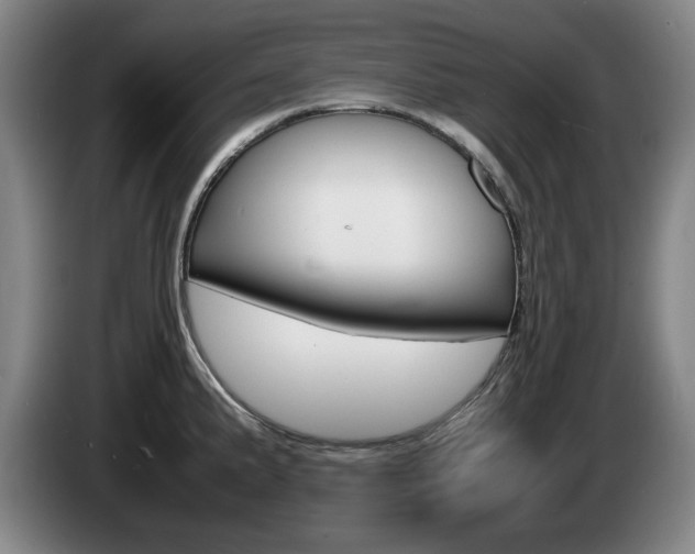 X0000085311191200703091047