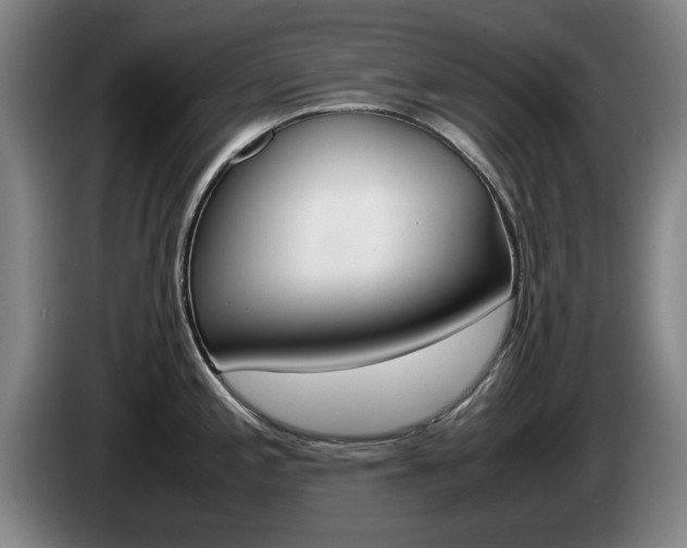 X0000085311197200703091047