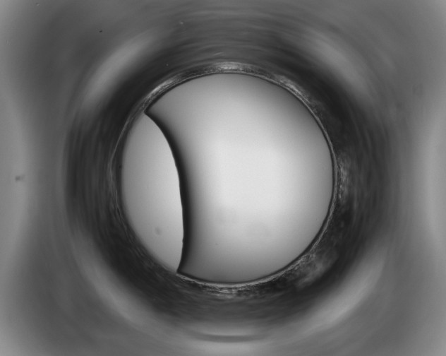 X0000085311198200703091047