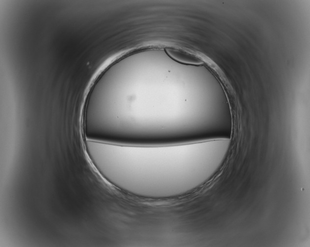 X0000085311199200703091047