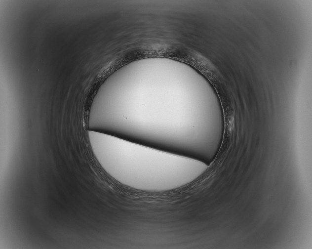 X0000085311204200703091047