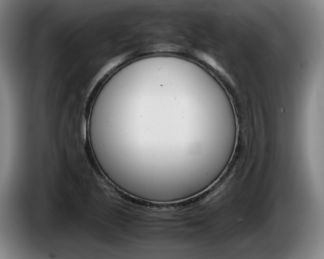 X0000085311221200703091047