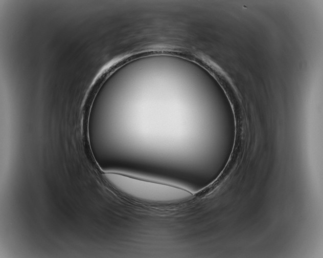 X0000085311222200703091047