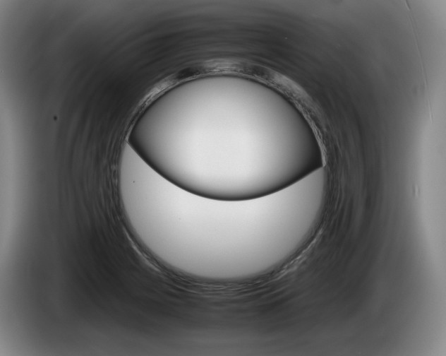 X0000085311225200703091047