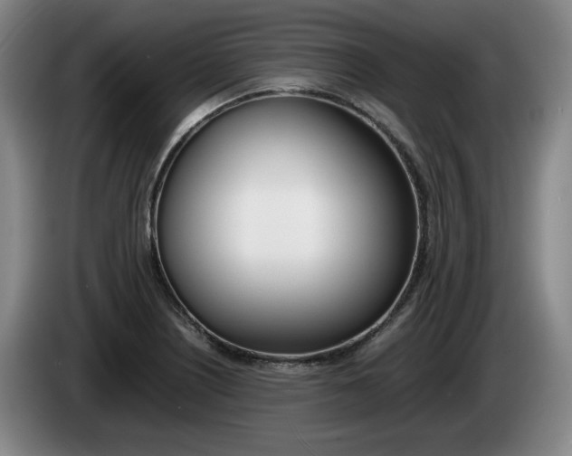 X0000085311226200703091047