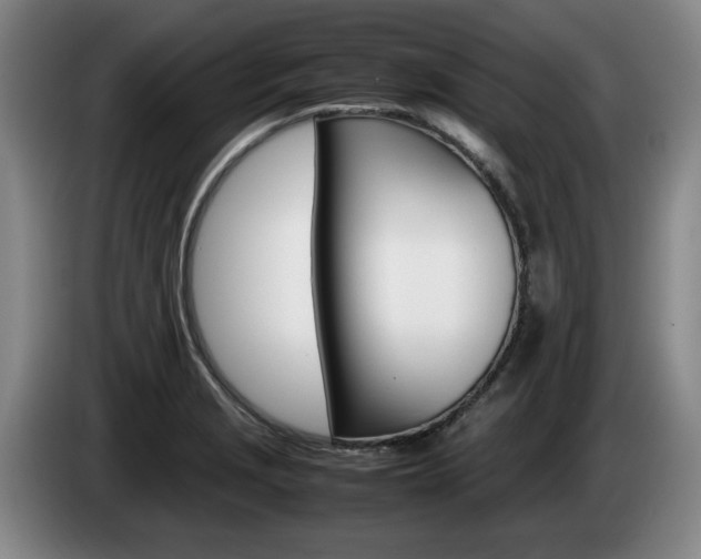 X0000085311229200703091047