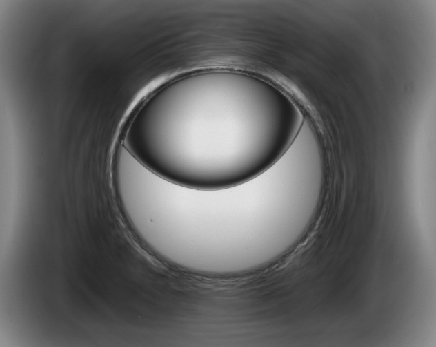 X0000085311230200703091047