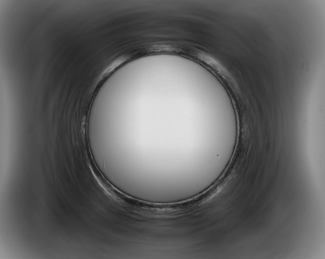 X0000085311233200703091047