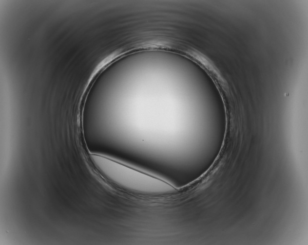 X0000085311234200703091047