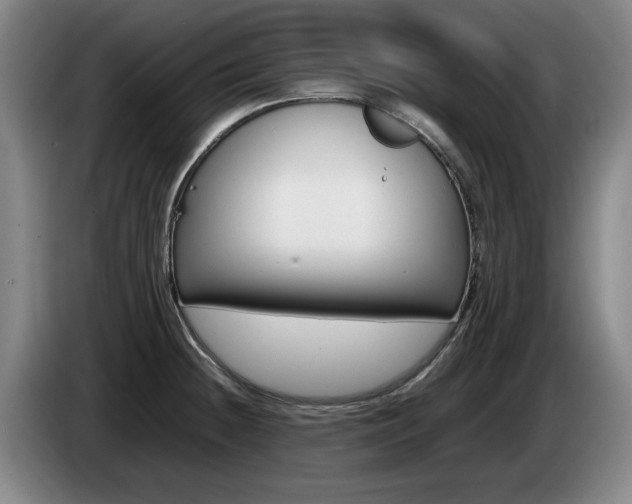 X0000085311236200703091047
