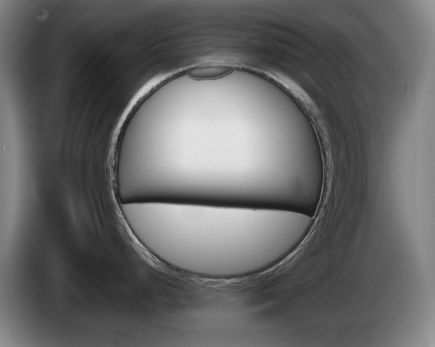 X0000085311248200703091047