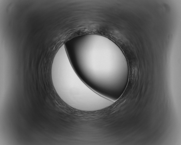 X0000085311250200703091047