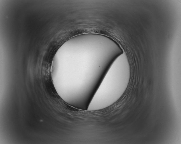 X0000085311251200703091047
