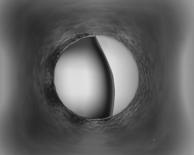 X0000085311253200703091047