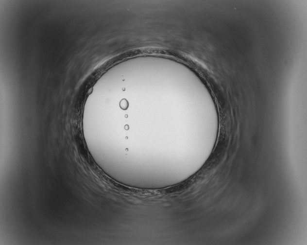 X0000085311255200703091047