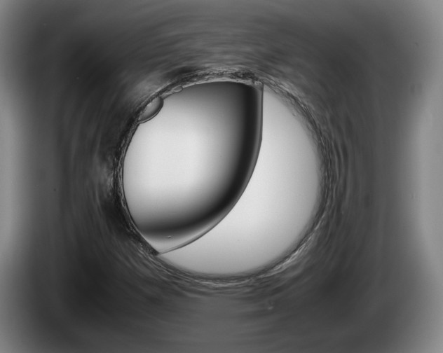 X0000085311257200703091047