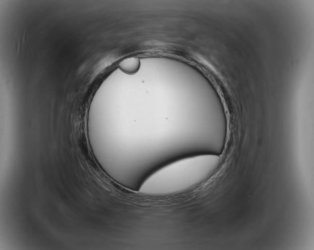 X0000085311259200703091046