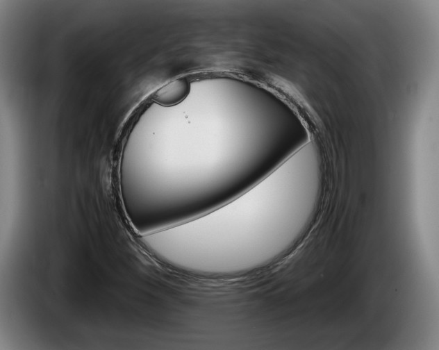 X0000085311260200703091046