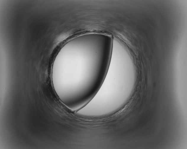 X0000085311261200703091046