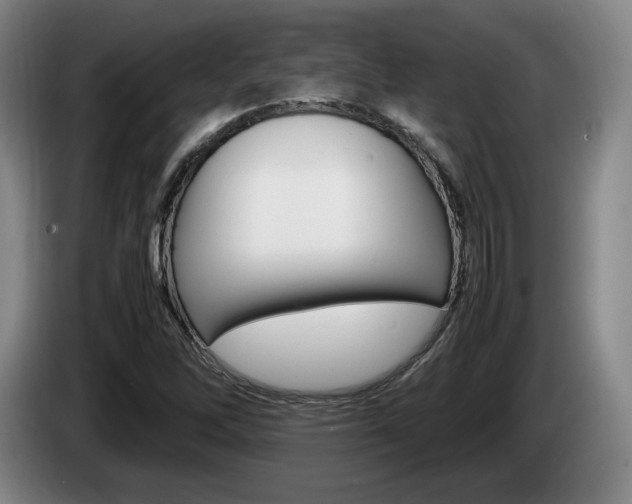 X0000085311262200703091046