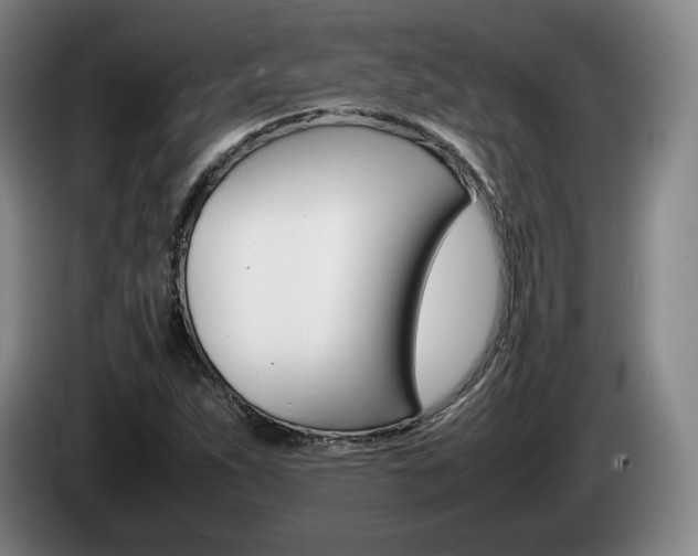 X0000085311263200703091046