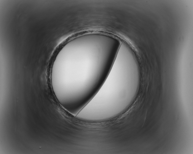 X0000085311264200703091046