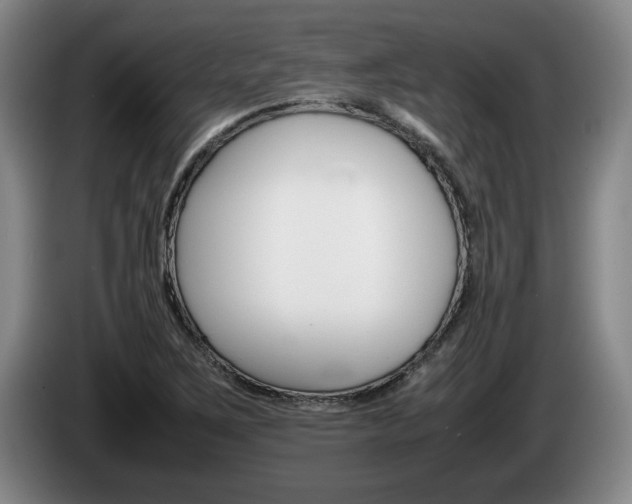 X0000085311267200703091046