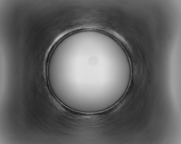 X0000085311272200703091046