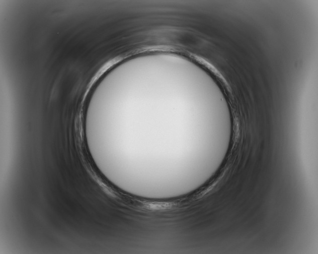 X0000085311274200703091046
