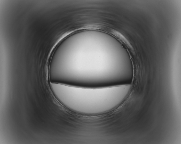 X0000085311276200703091046