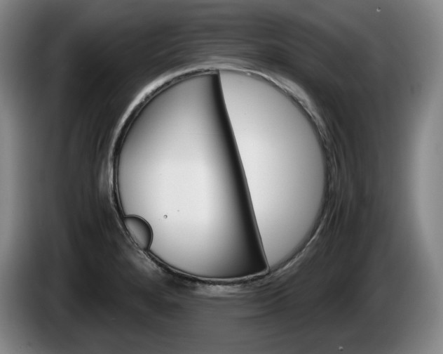 X0000085311280200703091046
