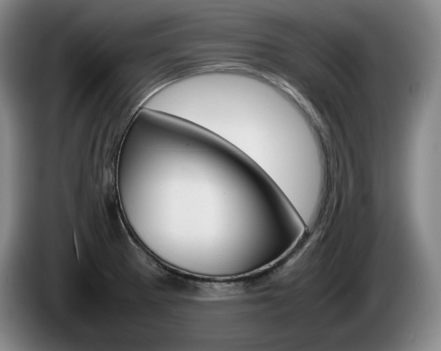X0000085311281200703091046