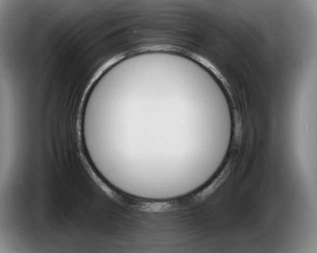 X0000085311282200703091046