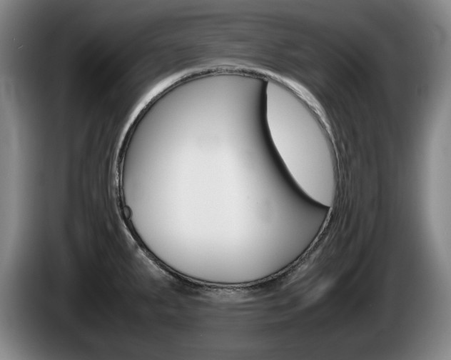 X0000085311287200703091046