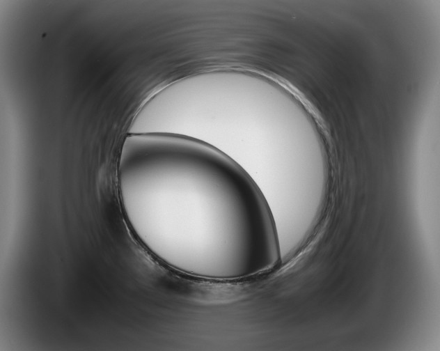 X0000085311289200703091046