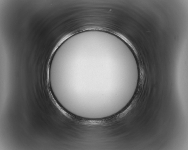 X0000085311290200703091046