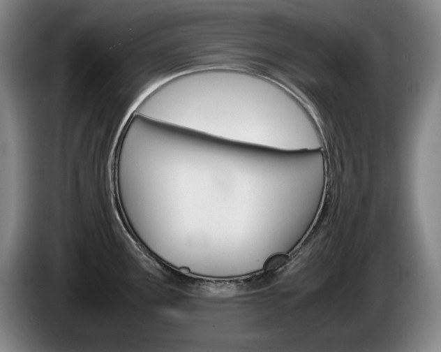 X0000085311291200703091046