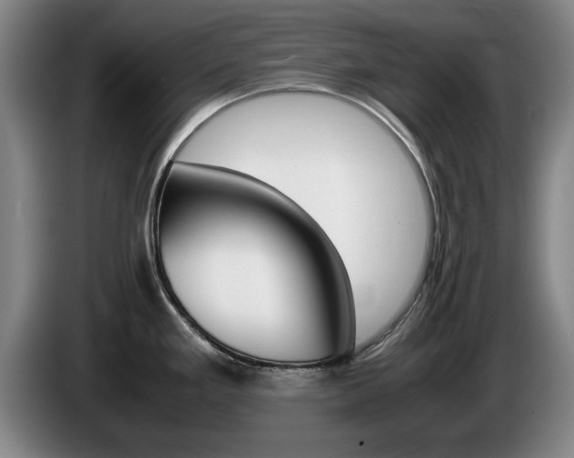 X0000085311293200703091046