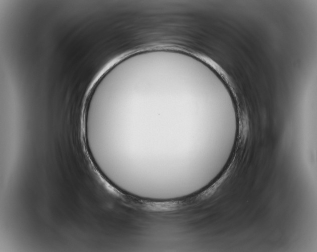 X0000085311294200703091046