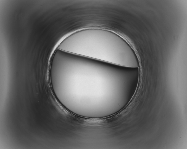 X0000085311296200703091046