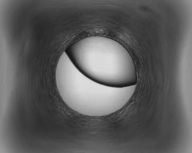 X0000085311297200703091045
